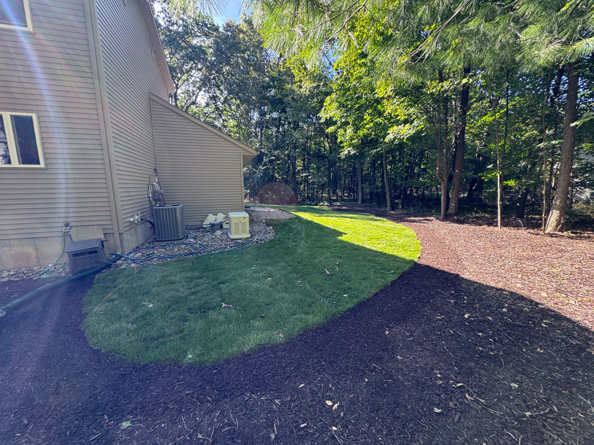 Gallery photos for Full Lawn Rehab With Sod Installation and Fresh Mulch Beds: Image #3