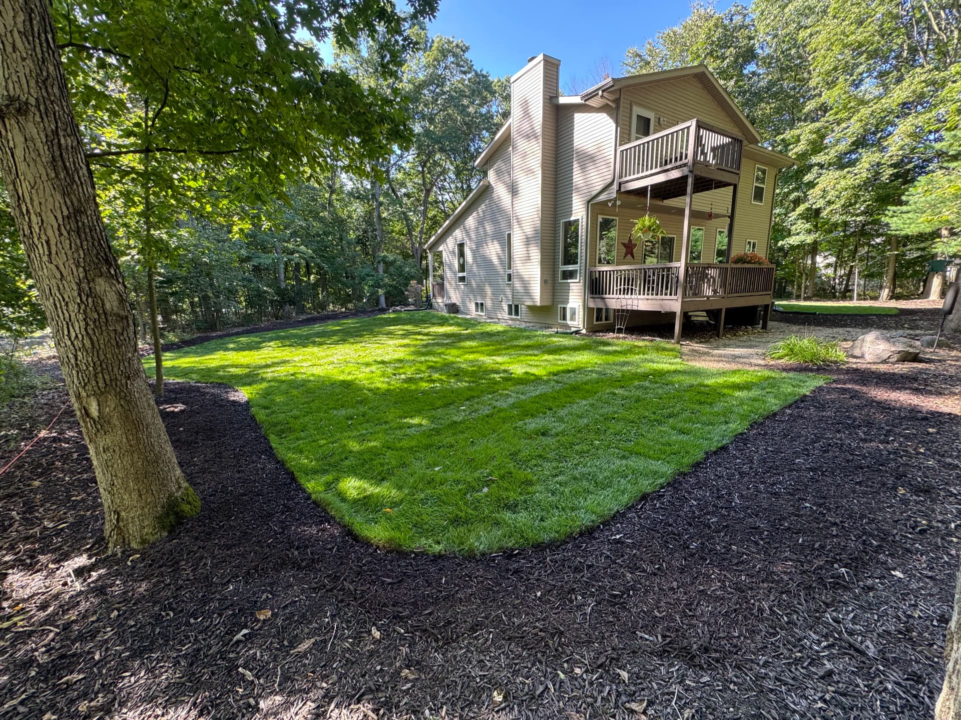 Gallery photos for Full Lawn Rehab With Sod Installation and Fresh Mulch Beds: Image #2