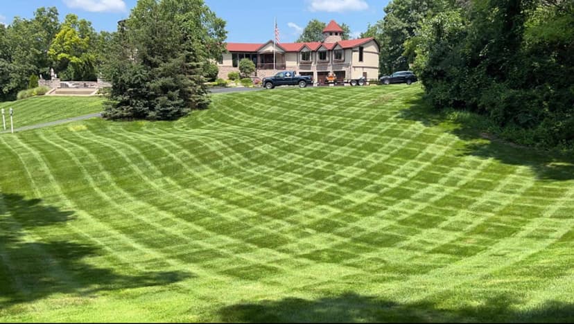 Lush striped lawn with a house and trees in the background on a sunny day.